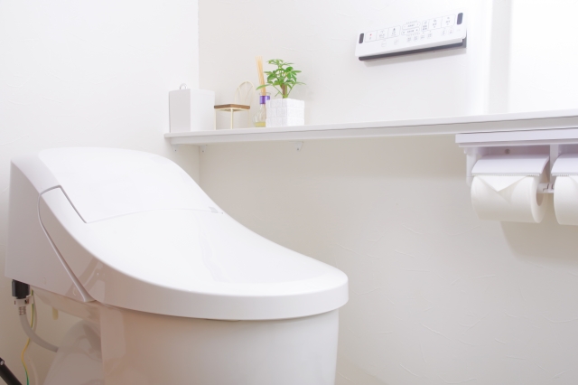 節水型トイレが詰まる理由と自分でできる解消法