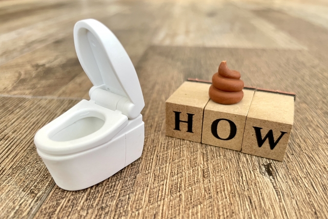 トイレが流れない主な原因一覧と自分でできる対処法