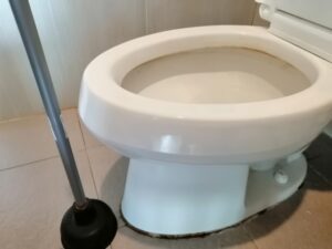 スッポンでトイレの詰まりを解消する正しい使い方と注意点
